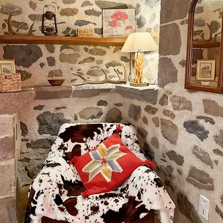 Le Refuge De La Vallee - 4 A 6 Pers - Proche De Salers *