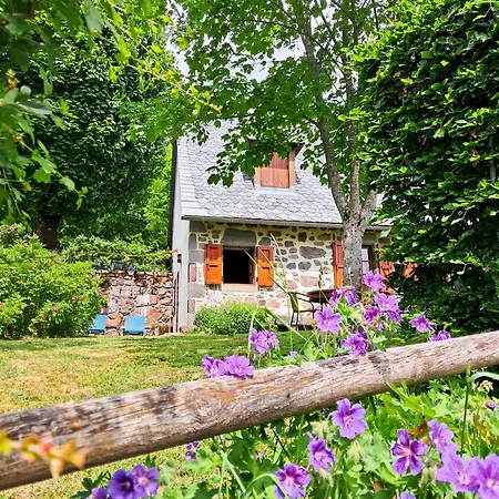 Le Refuge De La Vallee - 4 A 6 Pers - Proche De Salers * Saint-Projet-de-Salers