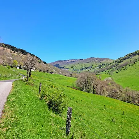 Holiday home Le Refuge De La Vallee - 4 A 6 Pers - Proche De Salers Saint-Projet-de-Salers