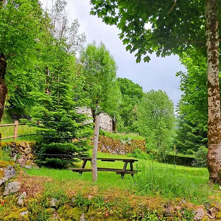 Tatil Evi Le Refuge De La Vallee - 4 A 6 Pers - Proche De Salers